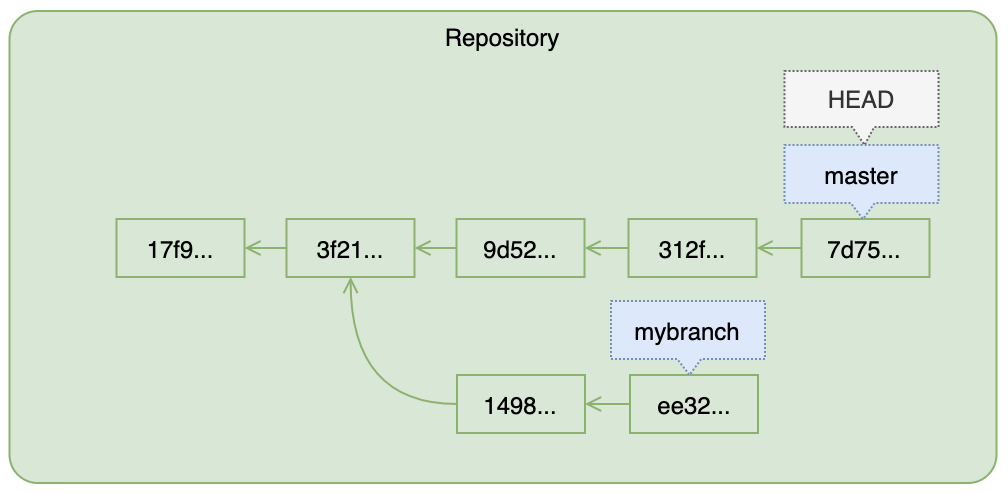 A Repository with a Branch